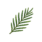 Wilds Logomark